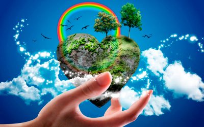 Lavaggio Ecologico